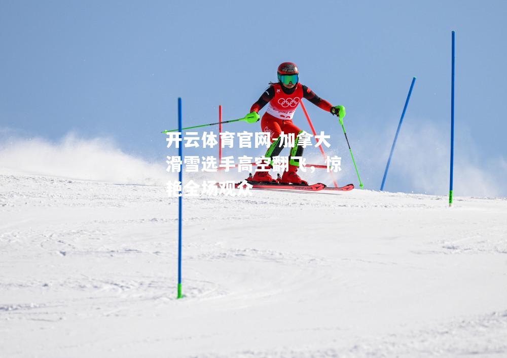 加拿大滑雪选手高空翻飞，惊艳全场观众